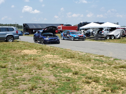 In the Paddock