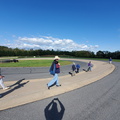 Track Walk 3
